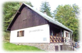 Gänskopf